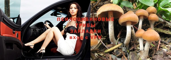 MESCALINE Армянск